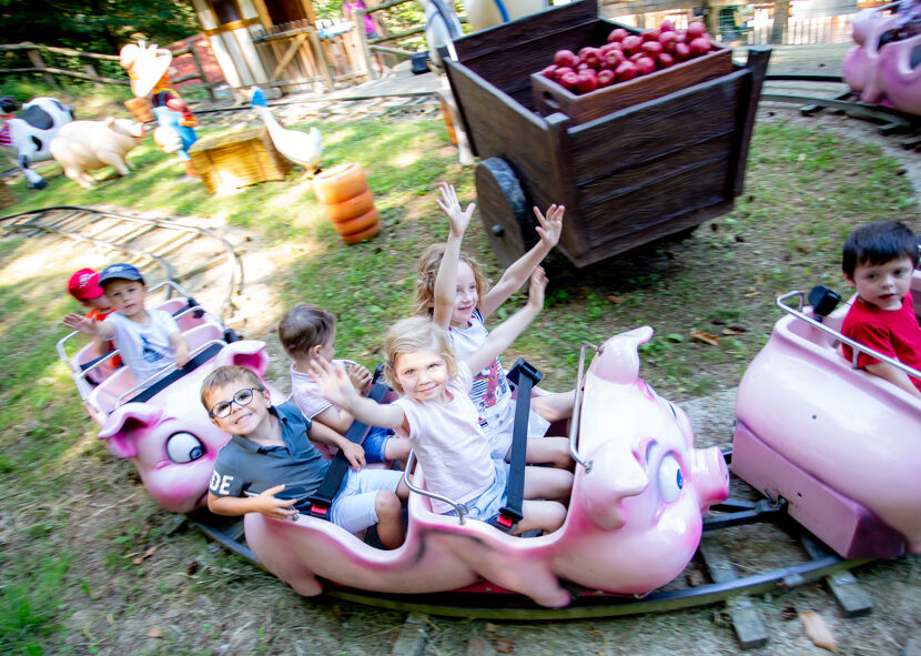 Cochons qui rient manège enfant