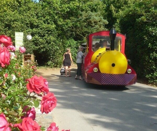 Petit train - parc Ange michel