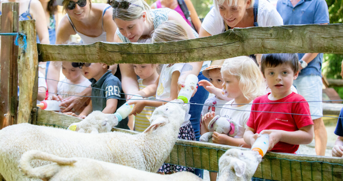 activités extra scolaire