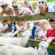 activités extra scolaire