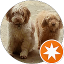 Ferdinand G. profile picture